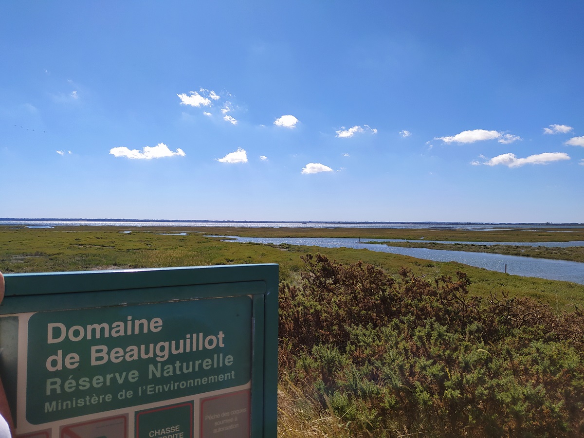 La plage et les dunes