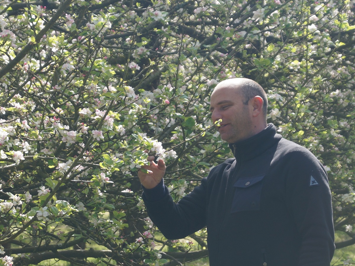 Domaine de Rugueville