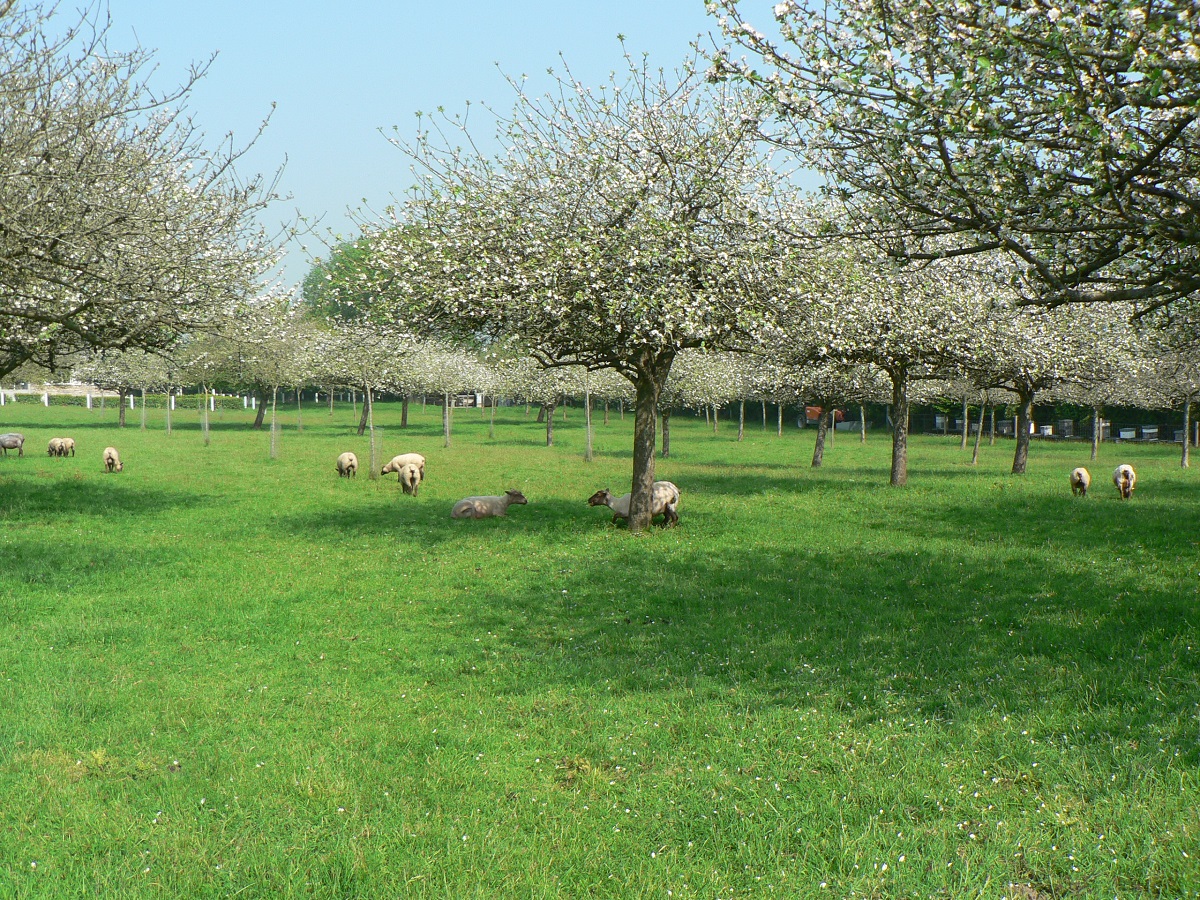 Domaine de Rugueville, Port-Bail-sur-Mer - photo 2