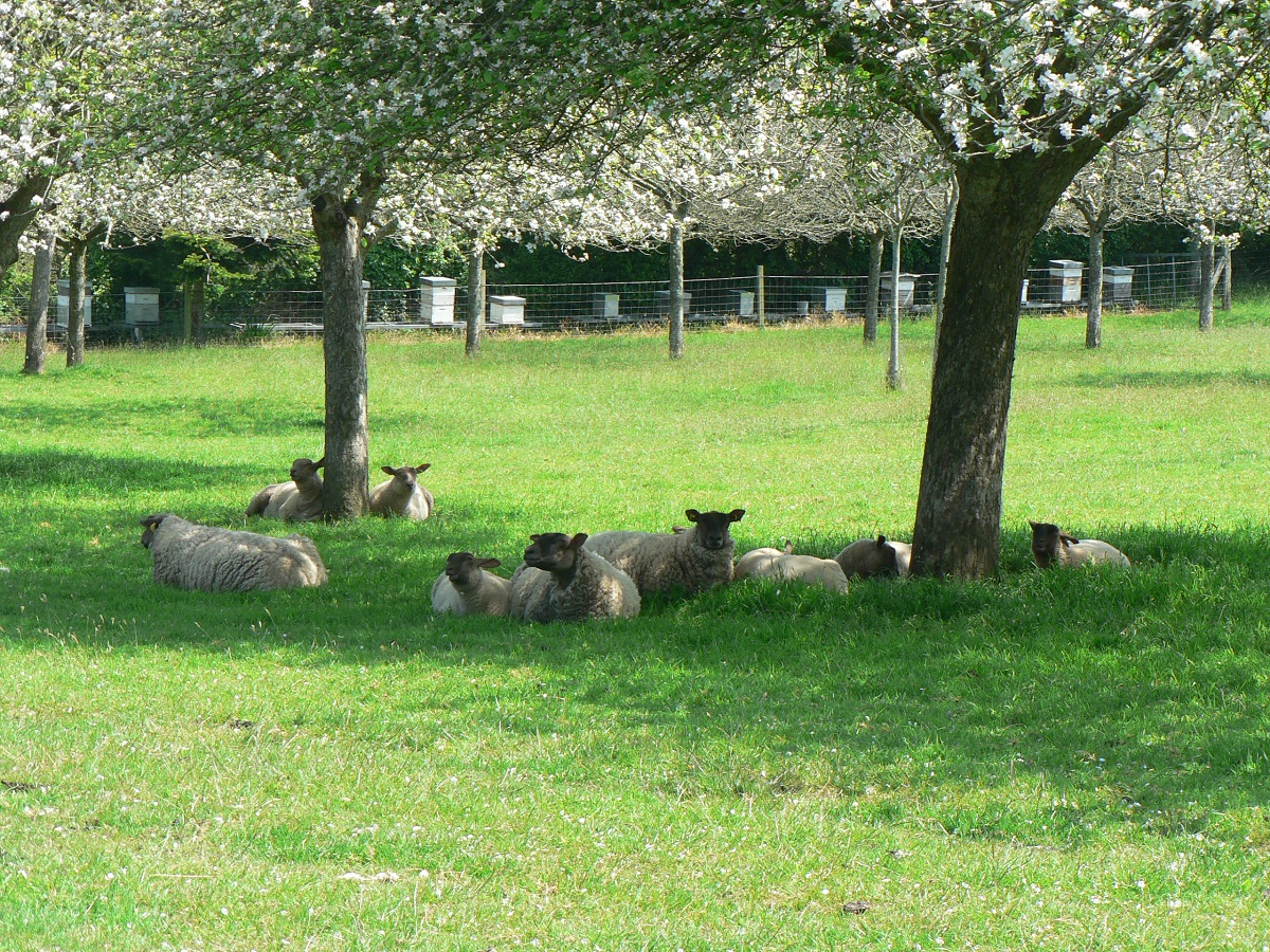 Domaine de Rugueville