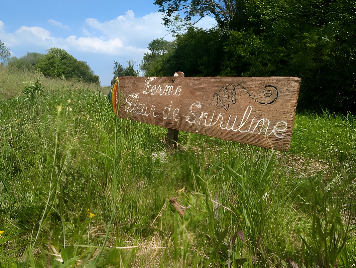 Visite guidée gratuite de la ferme de spiruline Akal