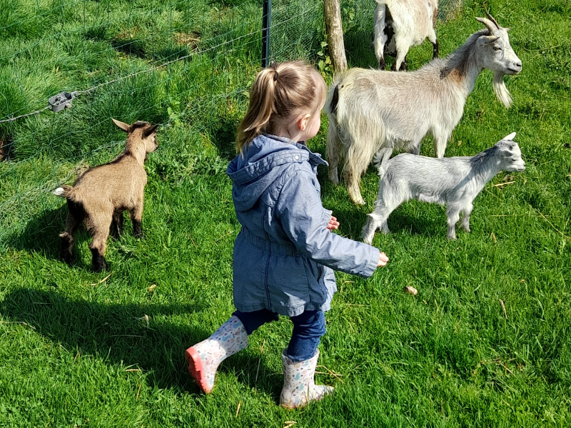 La Chasse aux Oeufs