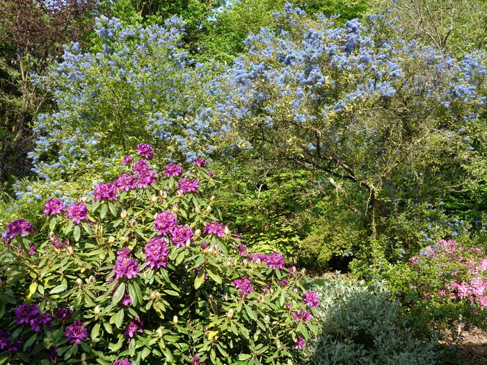 Rendez-Vous aux Jardins : Visite commentée du parc arboré Luminosa
