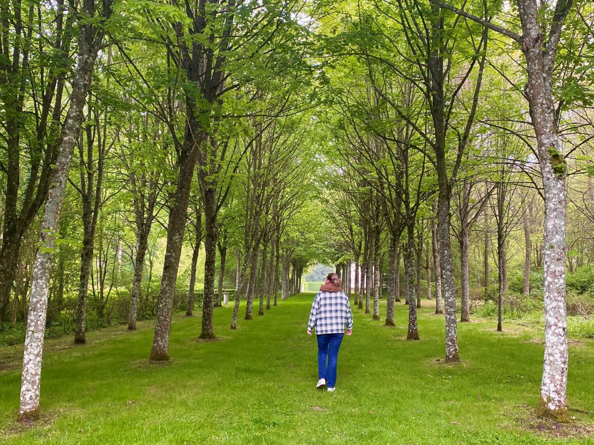 Rendez-vous aux jardins - Parc du Château d'Heudicourt