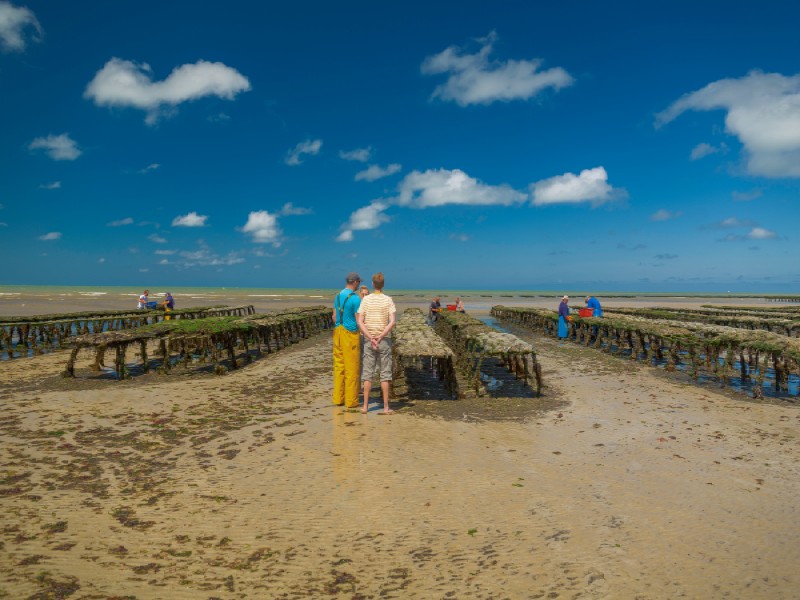 Autour du lait, des ports et des produits cidricoles, Isigny-sur-Mer