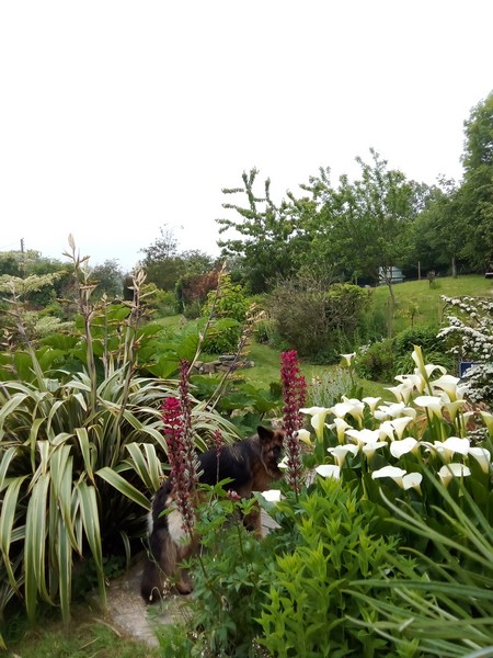 Jardin du Casrouge