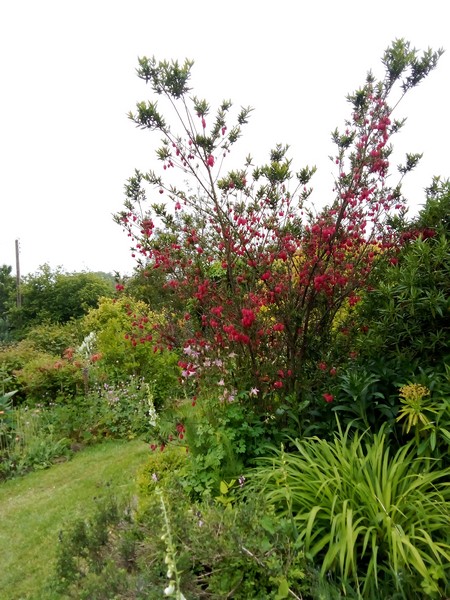 Jardin du Casrouge