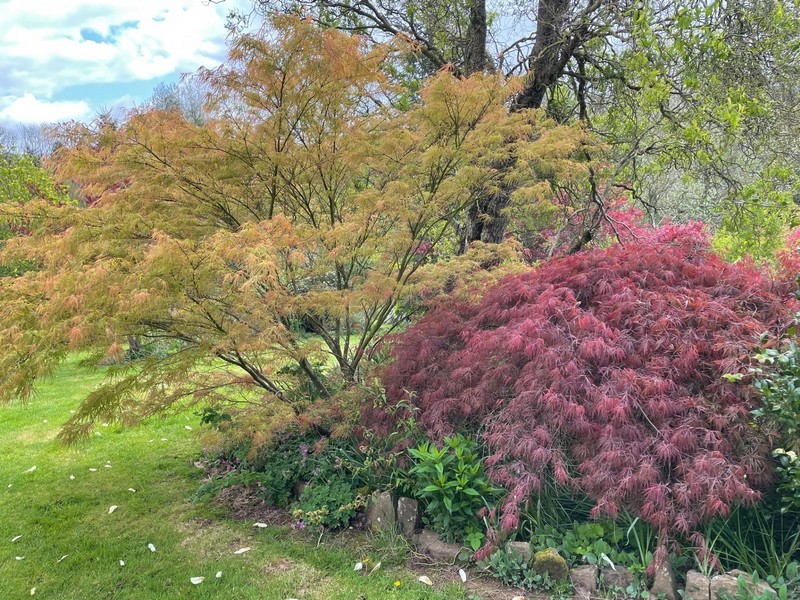 Le Jardin caché, Ouville - photo 9