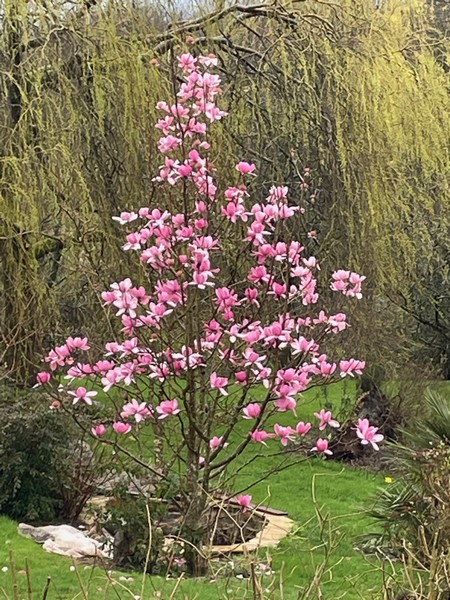 Le Jardin caché, Ouville - photo 4