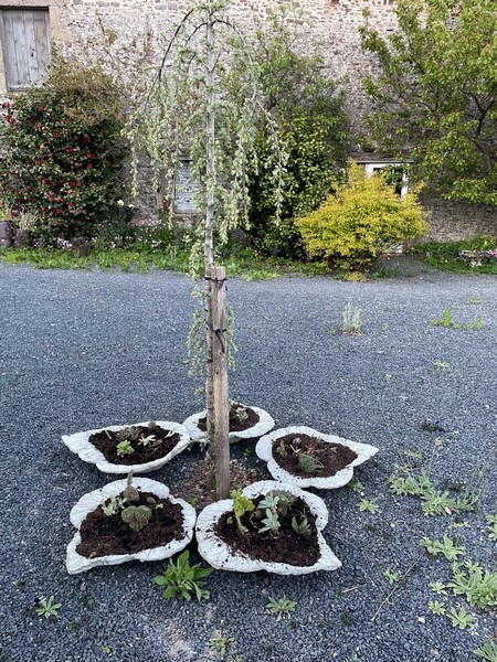 Le Jardin caché, Ouville - photo 3