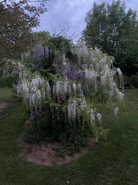 Le Jardin caché, Ouville - photo 5