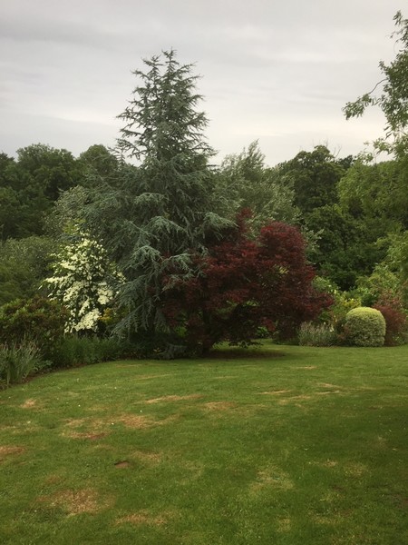 Le Jardin caché, Ouville - photo 2