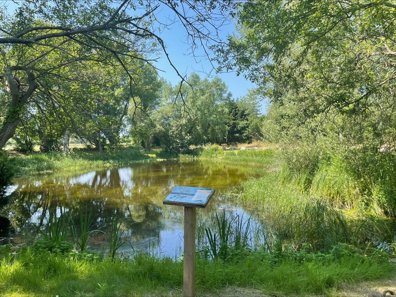 La Mare de la commune