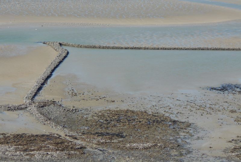La Pêcherie du Plat Gousset - GRANVILLE 360° Visites guidées