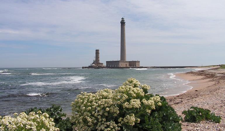 Phare de Gatteville Phare de Gatteville