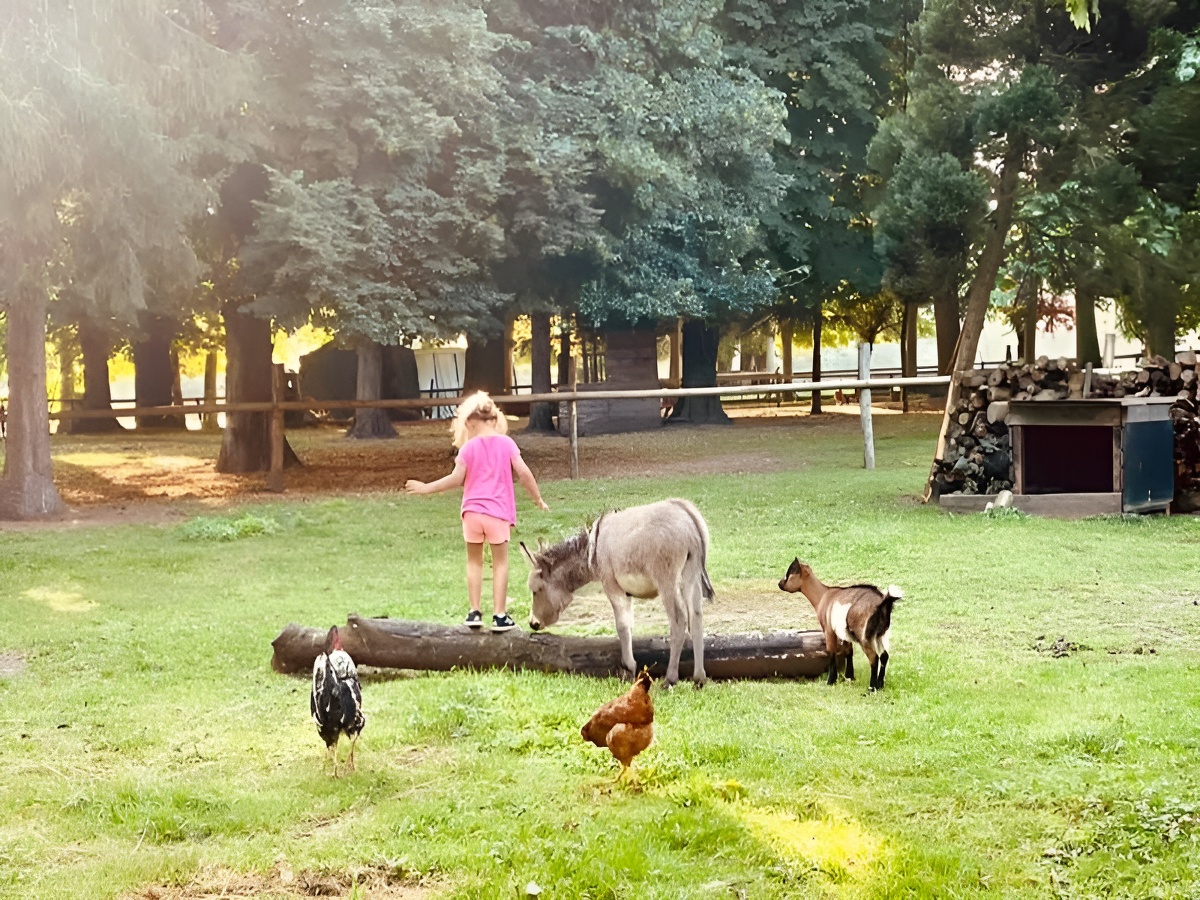 Visite de la ferme du domaine de Ouézy — photo 3