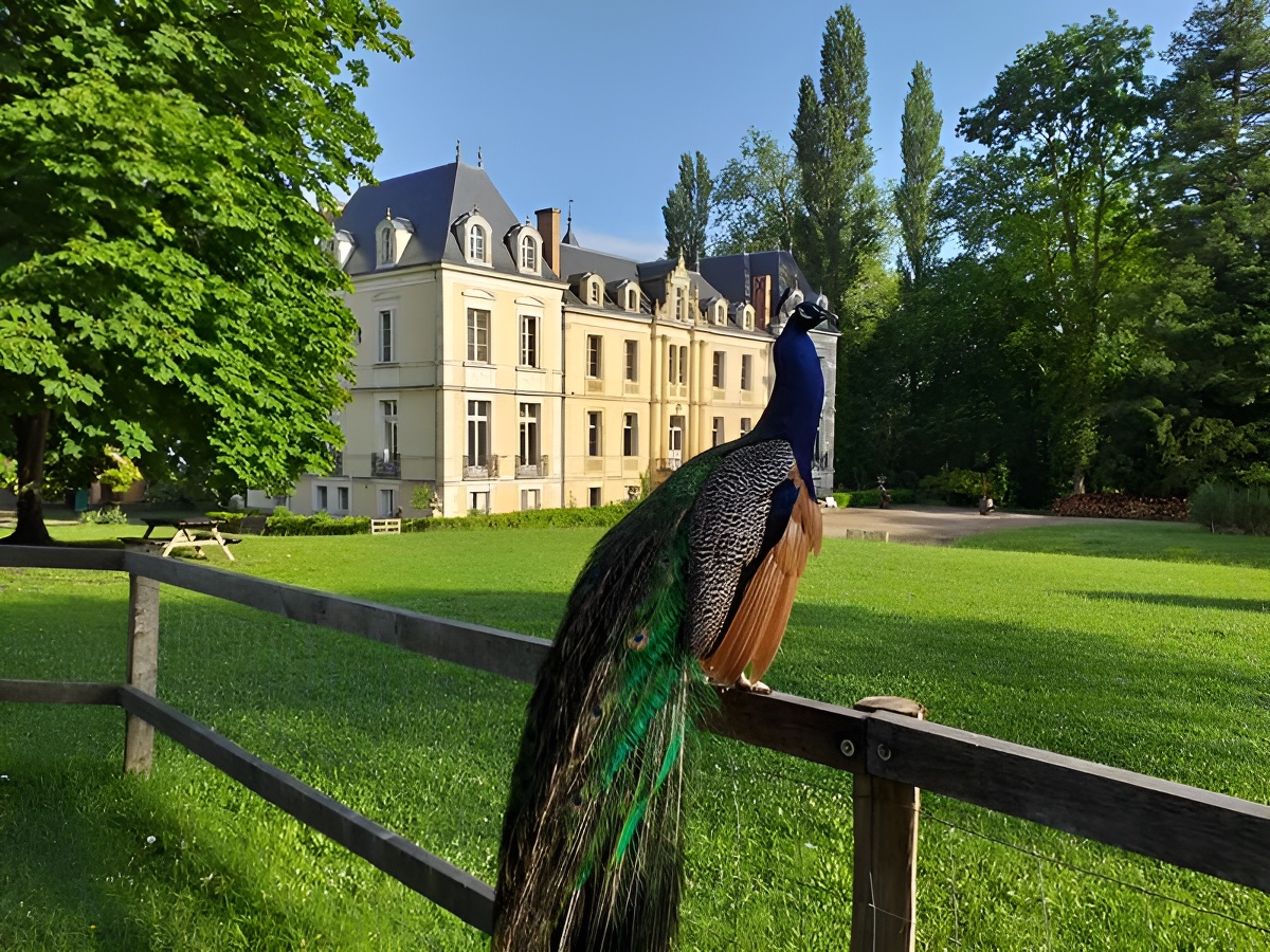 Visite de la ferme du domaine de Ouézy