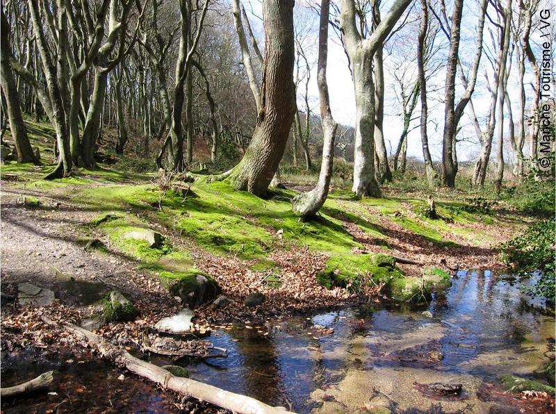 Randonnée en Pays Viking