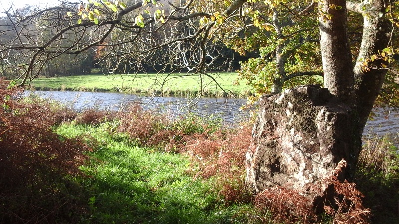 La lande et Barbey d'Aurevilly, Saint-Sauveur-le-Vicomte - photo 2