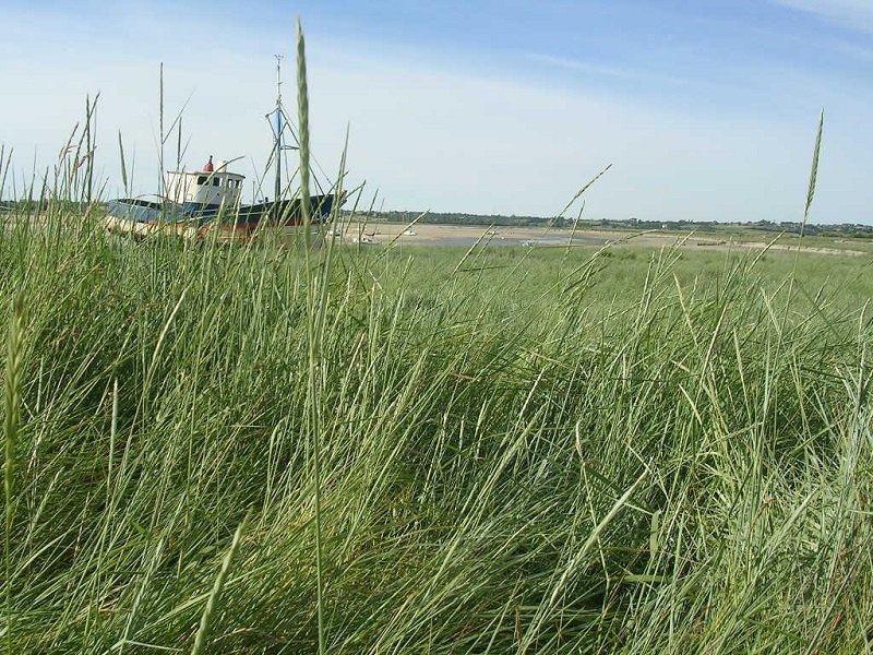 Le circuit des marais