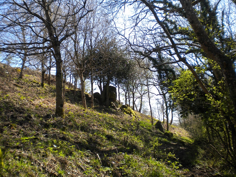 La lande et Barbey d'Aurevilly, Saint-Sauveur-le-Vicomte - photo 5