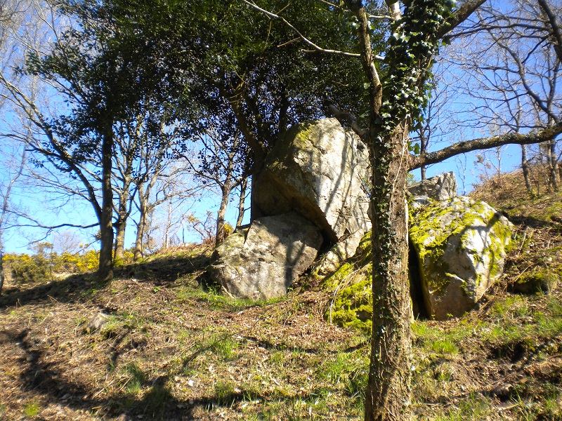 La lande et Barbey d'Aurevilly, Saint-Sauveur-le-Vicomte - photo 4