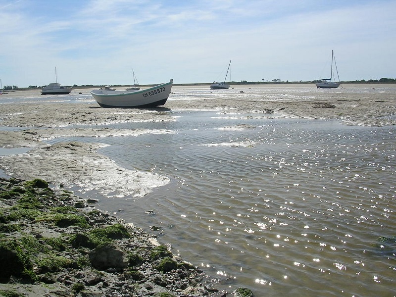 Le circuit des marais, Regnéville-sur-Mer - photo 7