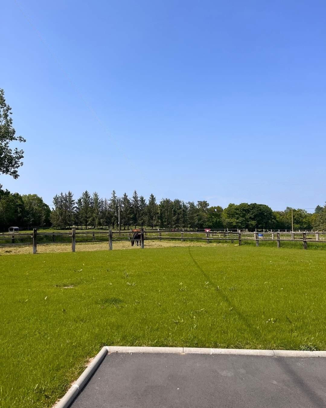 Gîte "La Forge" - Le Haras d'Havetot, Aurseulles - photo 4