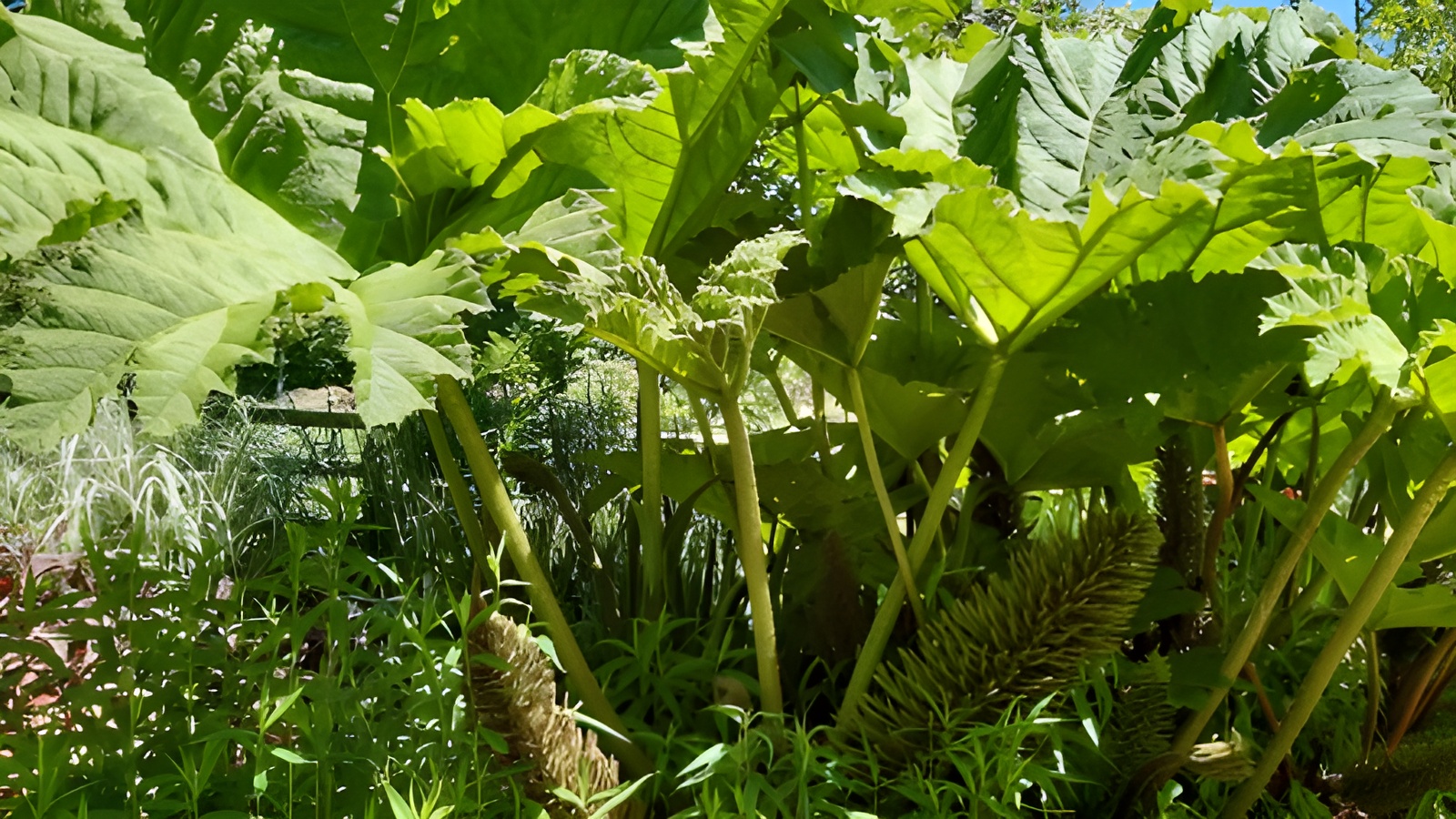 Jardin des Sources, Vaux-sur-Seulles - photo 2