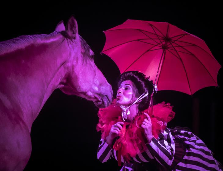 Photo-theatre-equestre--Antoine-Bassaler