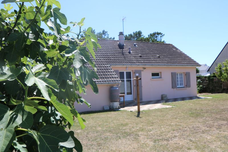 Meublé de tourisme > L'arbre à crevettes