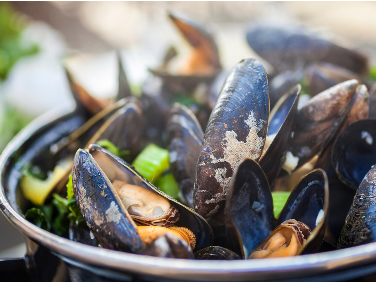 L'Arbre à Pin, Houlgate - photo 13