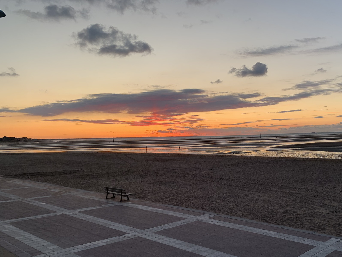 L'Arbre à Pin, Houlgate - photo 5