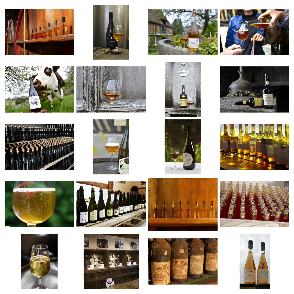 Les Marronniers, Cambremer - photo 19