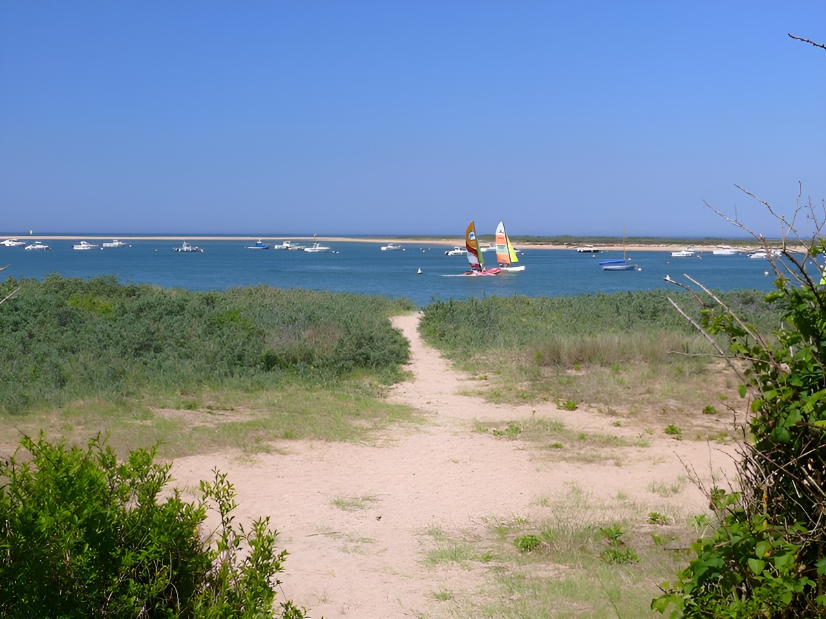 L'estuaire de l’Orne, Sallenelles - photo 4