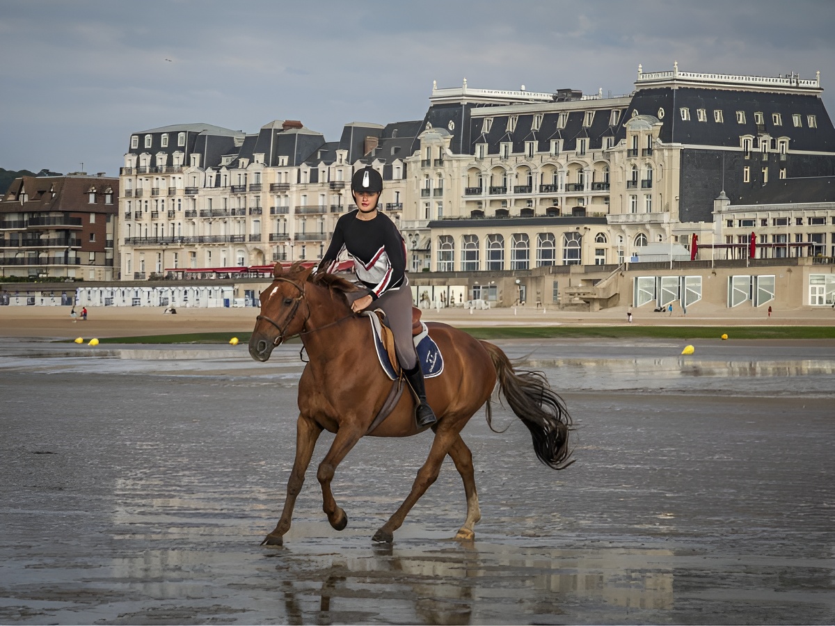 Promenade sur la plage - Pôle Équestre la Sablonnière