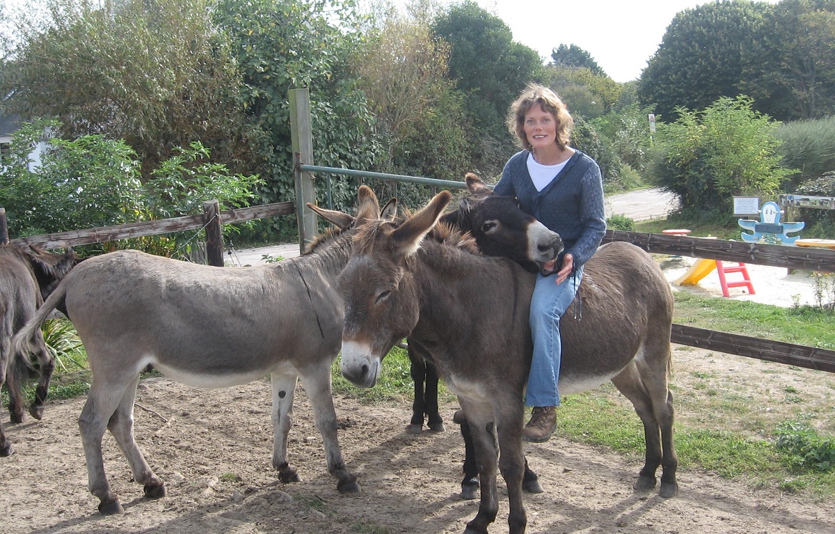 Autour de l'Âne, Port-Bail-sur-Mer - photo 12