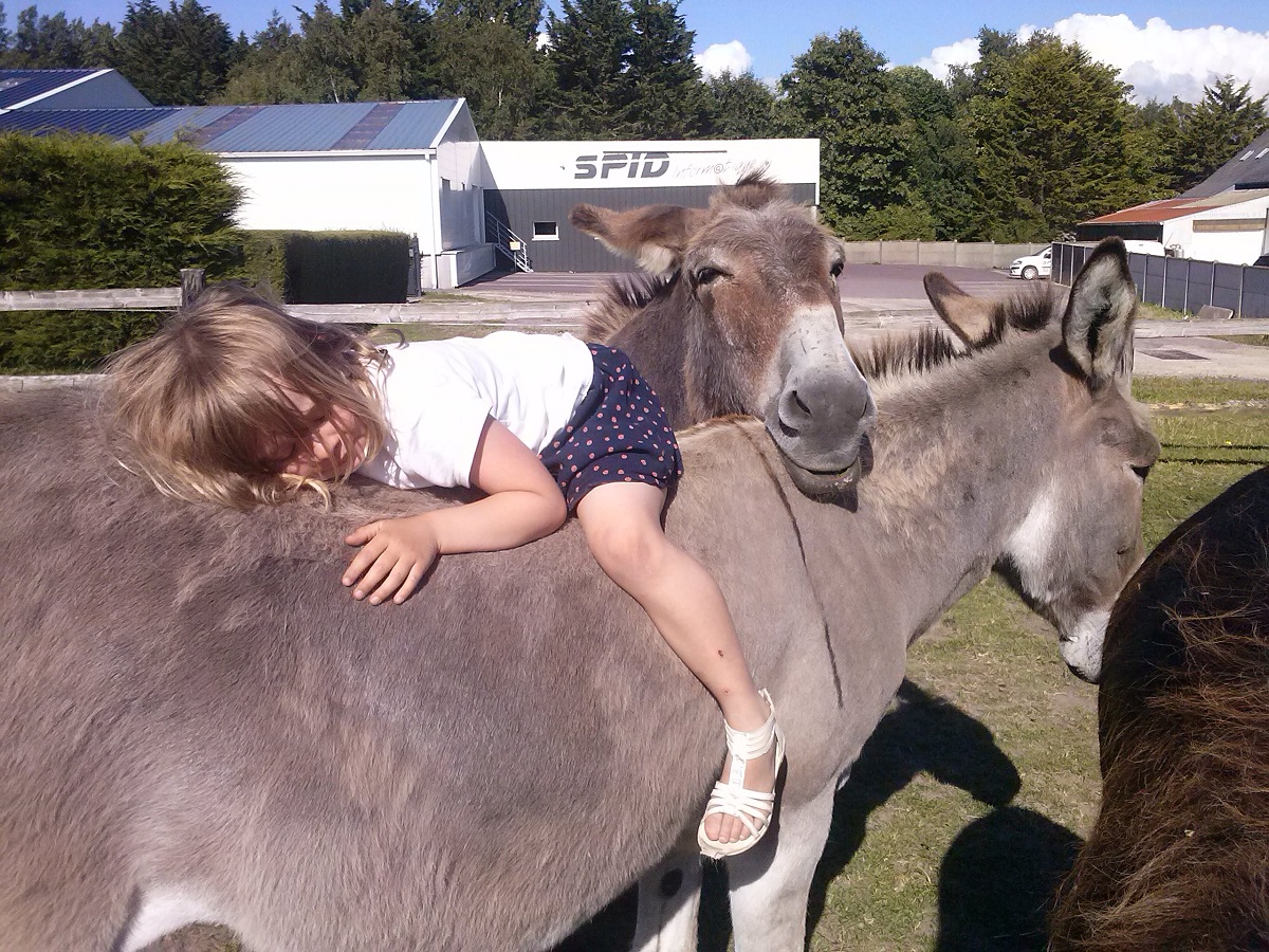 Autour de l'Âne, Port-Bail-sur-Mer - photo 6