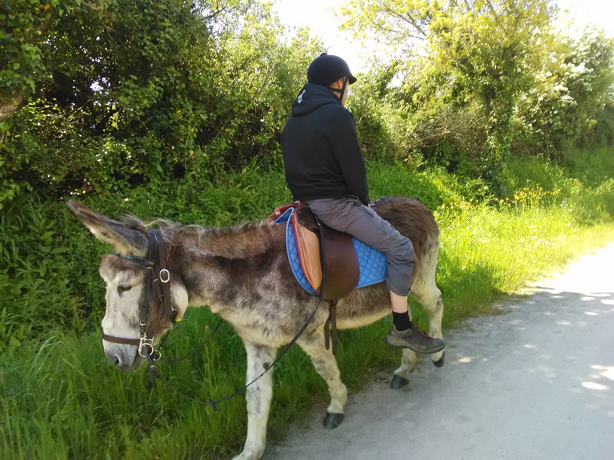 Autour de l'Âne, Port-Bail-sur-Mer - photo 3