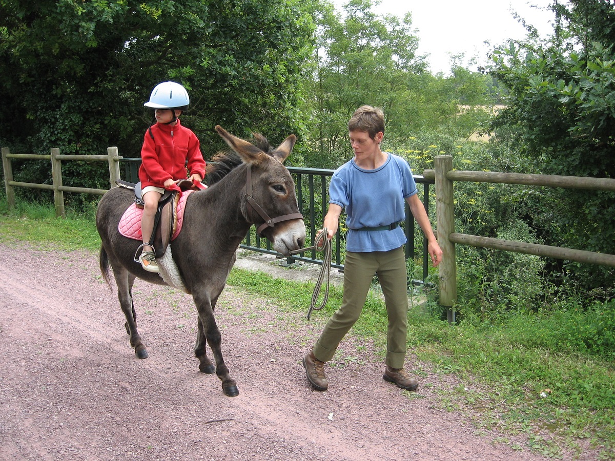 Autour de l'Âne, Port-Bail-sur-Mer - photo 9