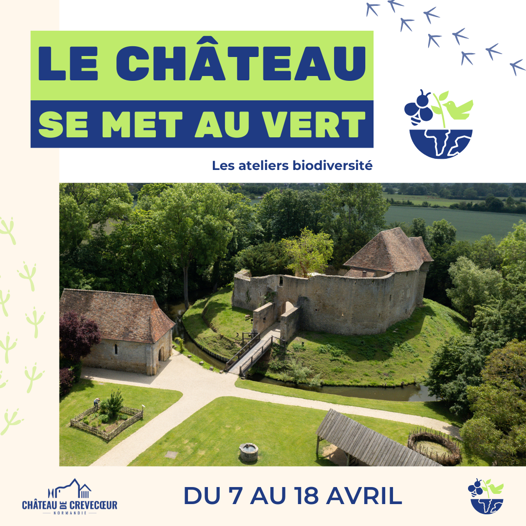 Le château se met au vert - Mézidon Vallée d'Auge