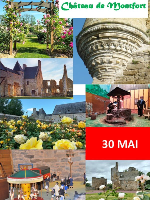 VISITE DU CHÂTEAU DE MONTFORT