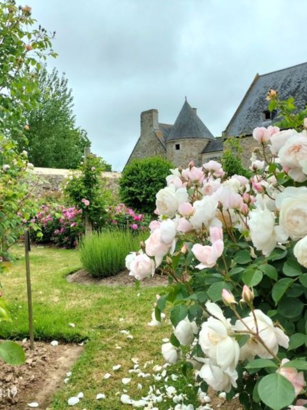 Réouverture du Château de Montfort à la visite — visuel événement