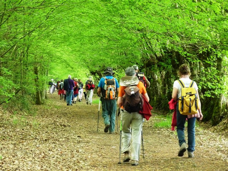 Image de la promenade