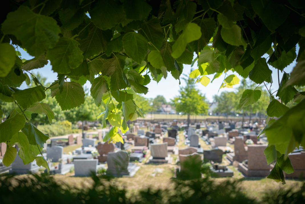 Printemps des cimetières