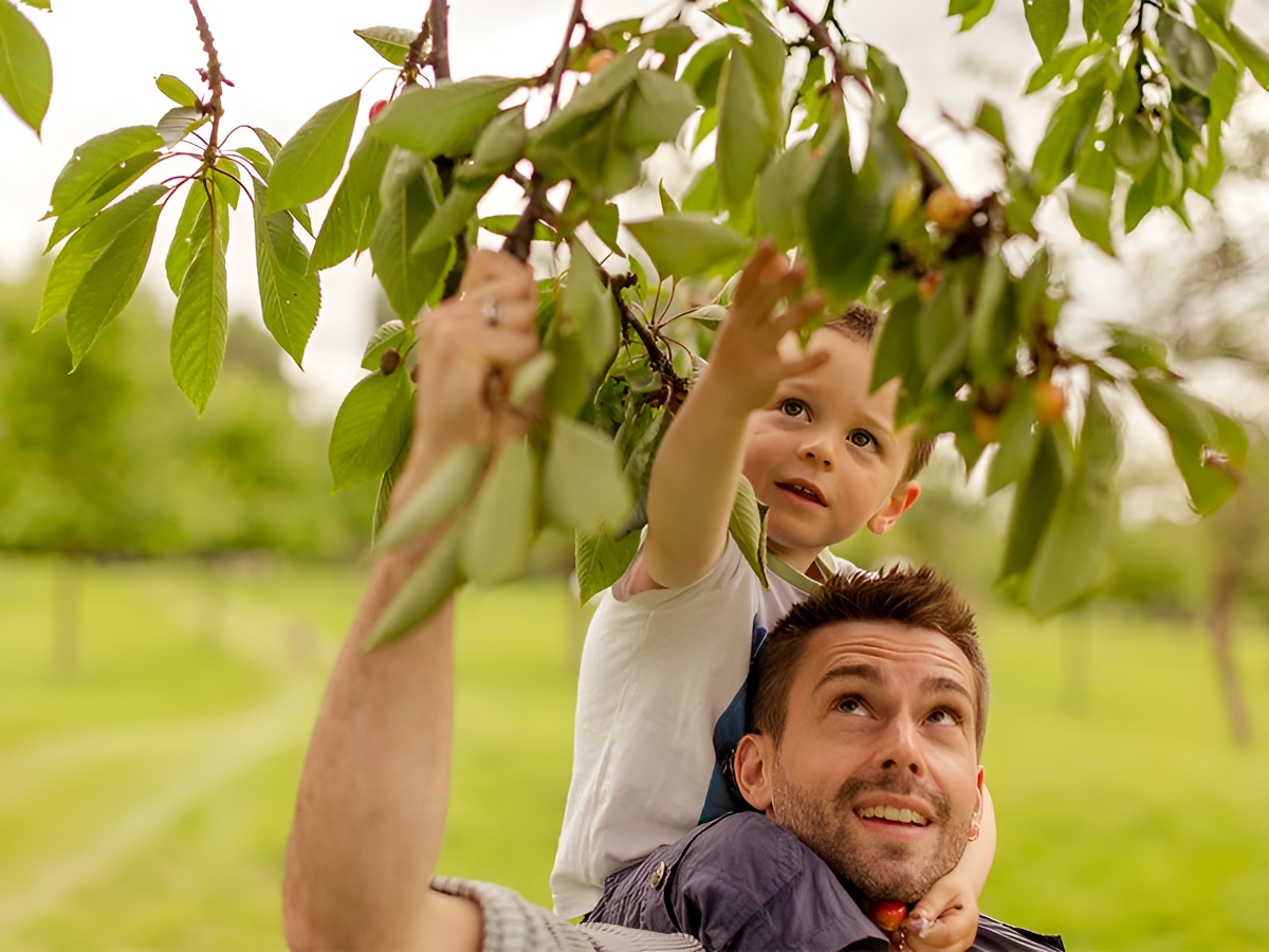 Atelier Producteur d'un jour