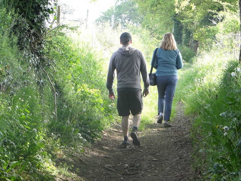 Image de la promenade