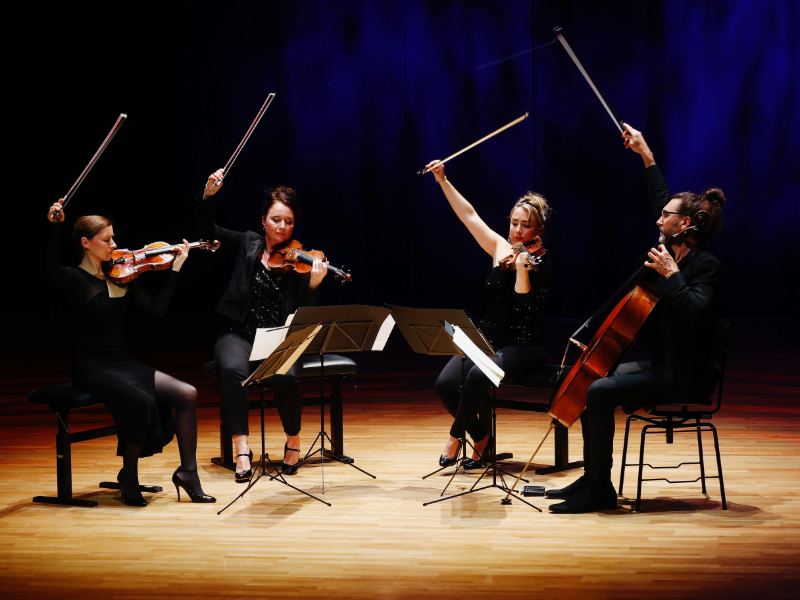 Les Promenades Musicales du Pays d'Auge 32e édition - Quintette imaginaire de Schubert