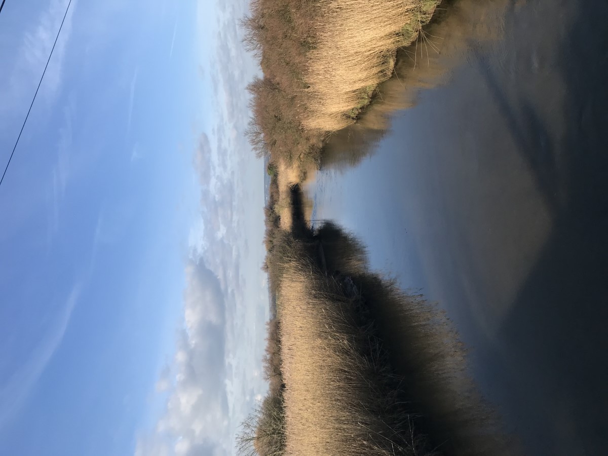 Havre de la Sinope, Quinéville - photo 7