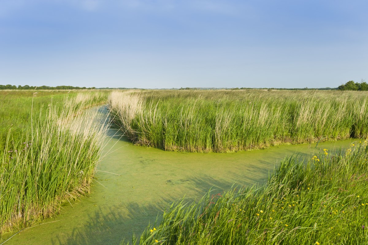 Havre de la Sinope, Quinéville - photo 4